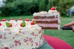 Kirsch-Sahnestand 150g