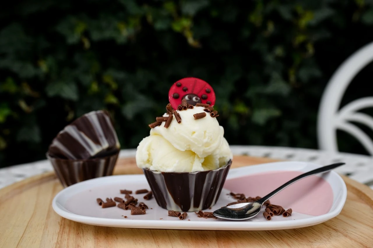 Eispulver Neutral 500g 3 Eispulver Neutral 500g