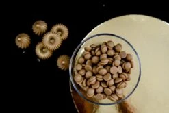 Callebaut Kuvertüre-Chips Gold, Karamell, 500g -Lebensmittelgeschäft 1612da6db6c0ab8f50f4a352edd40914