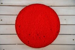 Tortenboden Rot, 100g, Backmischung Biskuitboden