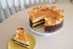 Tortenboden, 5kg, Backmischung Luftig-lockerer Biskuitboden