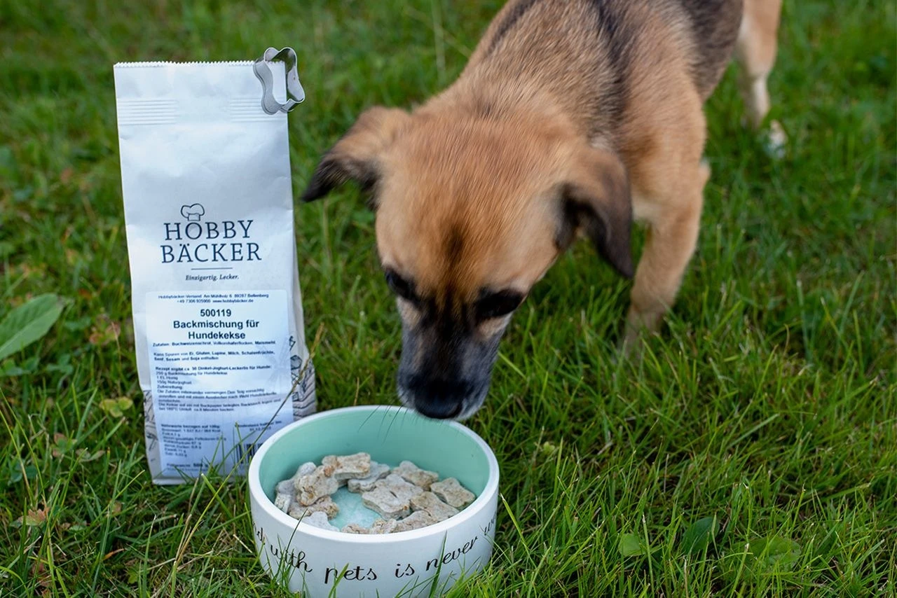 Backset: Hundekekse 3 Backset: Hundekekse
