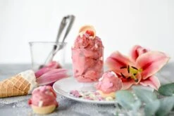 Eispulver Fruchteisbasis 100g