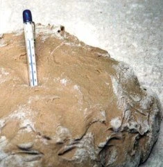 Roggenmehl Ganz Dunkel Type 1370 1kg