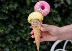 Eispaste Vanille-Bourbon 250g