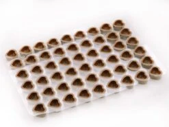 Lebensmittelgeschäft -Lebensmittelgeschäft b02531