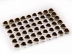 Lebensmittelgeschäft -Lebensmittelgeschäft b02541