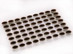 Lebensmittelgeschäft -Lebensmittelgeschäft b02661