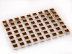 Lebensmittelgeschäft -Lebensmittelgeschäft b02681