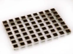 Lebensmittelgeschäft -Lebensmittelgeschäft b02691