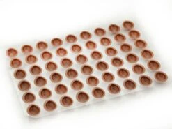 Lebensmittelgeschäft -Lebensmittelgeschäft b02721