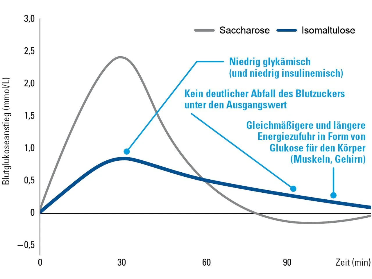 Zuckerersatz: Isomaltulose (Palatinose™), 500 G 4 Zuckerersatz: Isomaltulose (Palatinose™), 500 G – Bild 2