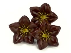Schoko-Dekor: Blüte, Zartbitterschokolade, 1 Folie/38 Stück á 25 X 14 Mm