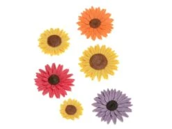 Ausstecher-Set Mit Auswerfer: Sonnenblume, Kunststoff, Weiß, 3 Stück á 23, 30, 37 Mm 7 Ausstecher-Set Mit Auswerfer: Sonnenblume, Kunststoff, Weiß, 3 Stück á 23, 30, 37 Mm -Lebensmittelgeschäft b12982