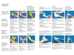 Louise & Othmar Fassbind: Das Große Lehrbuch Der Zuckerartistik, 4 Sprachen 14 Louise & Othmar Fassbind: Das Große Lehrbuch Der Zuckerartistik, 4 Sprachen -Lebensmittelgeschäft b17915