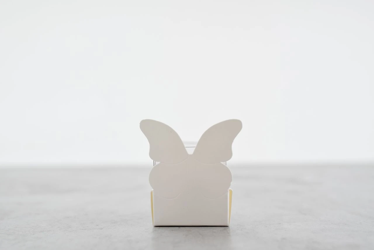 Geschenkbox Weiß Für Einen Macaron 4x4x6 Cm, 6 Stück 3 Geschenkbox Weiß Für Einen Macaron 4x4x6 Cm, 6 Stück