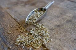 Roggenkörner Spezialgereinigt 3kg