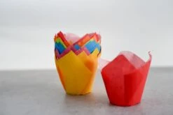 Papierbackform Tulpe, Farbig Sortiert, 24 Stück