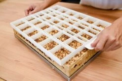 Blechkuchen-Einteiler Und Teigschneider Für 24 Oder 30 Stück